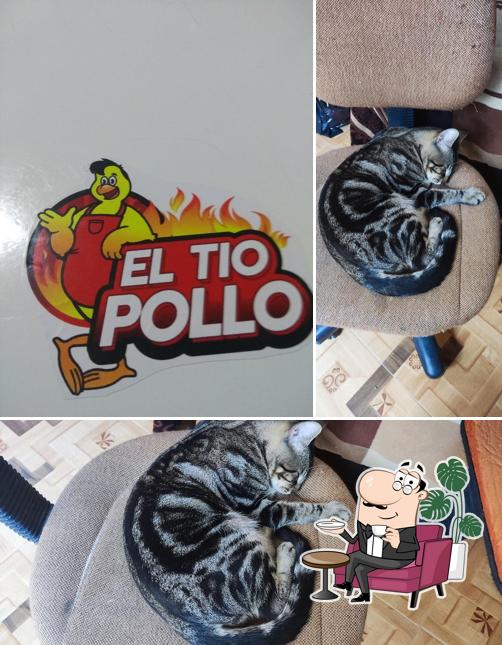 El TIO POLLO