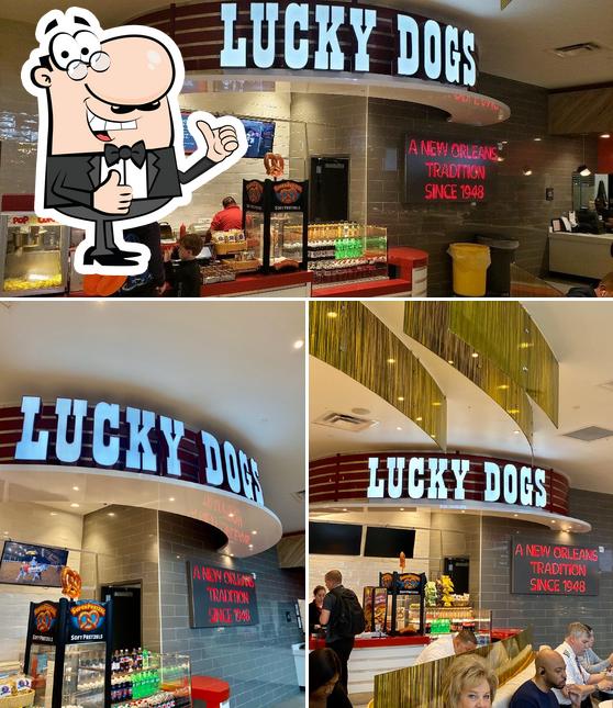 Lucky Dogs