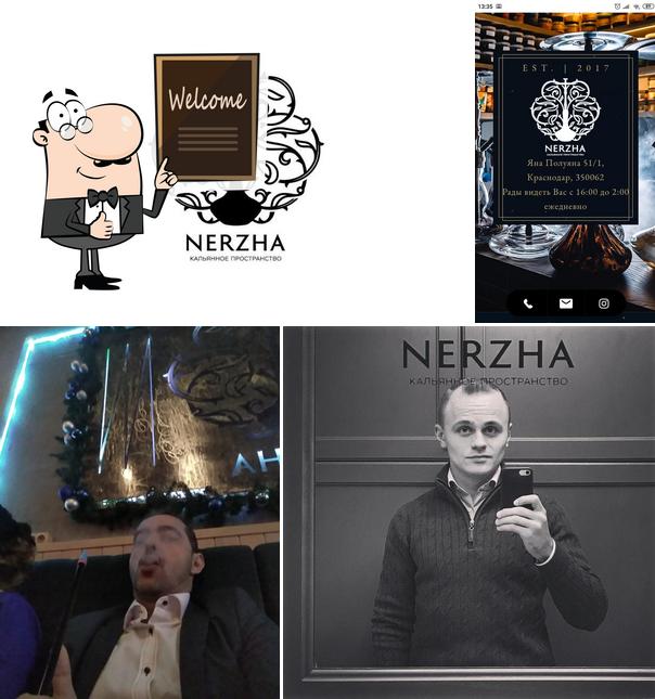 Nerzha,