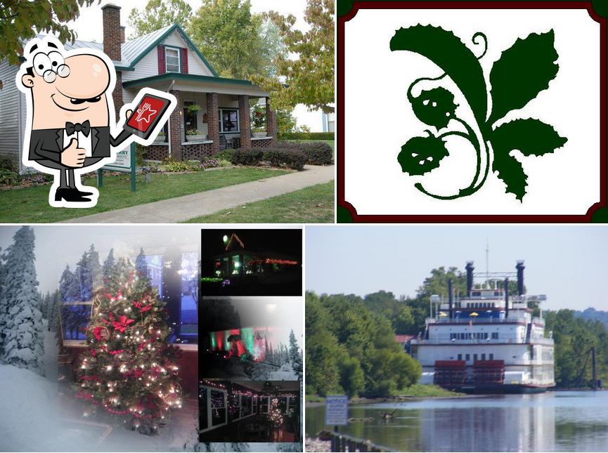 Mulberry Inn & Gardens