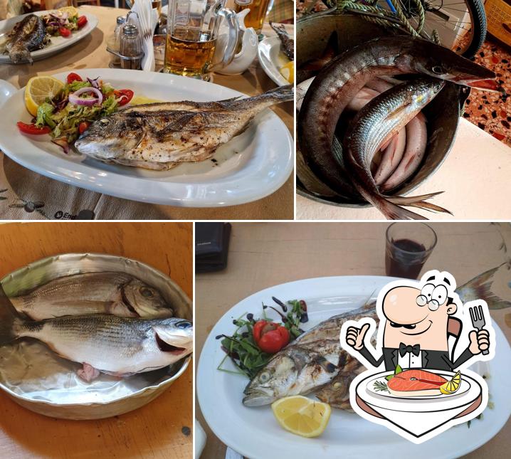 Κοχύλι