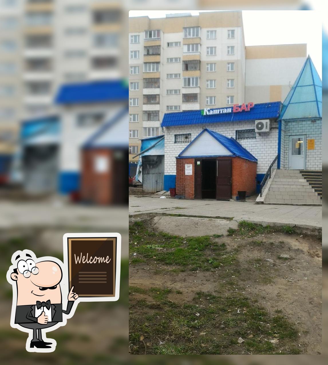 Каштан 24