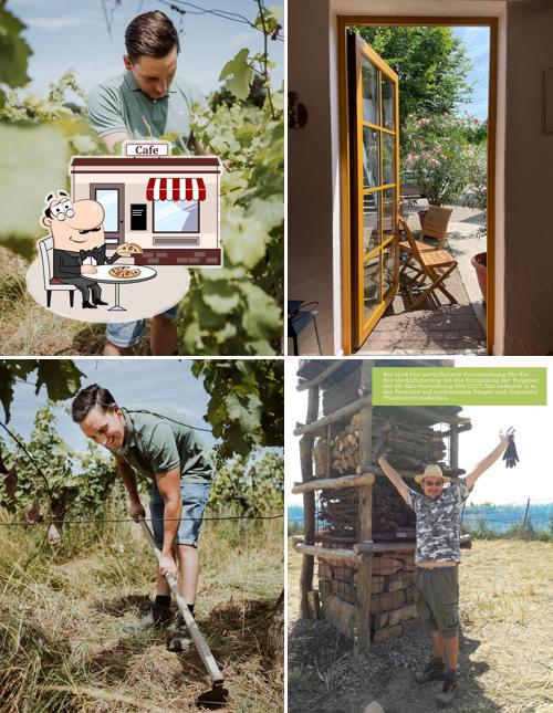 Weingut Friedrich