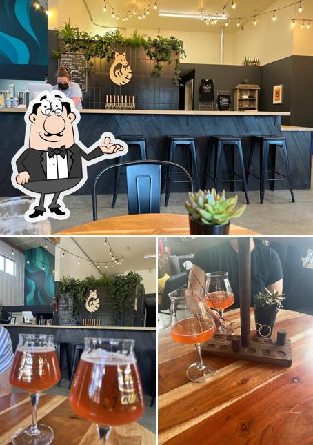 Funky Fauna Artisan Ales