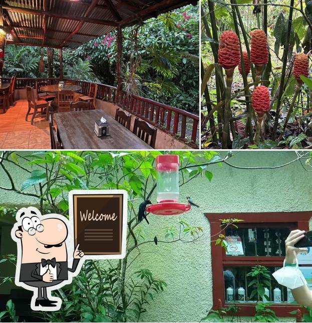 Restaurante Hummingbird