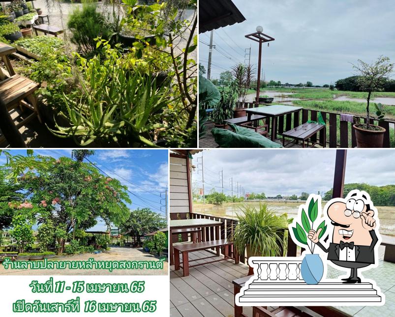 ร้านลาบปลายายหล้า
