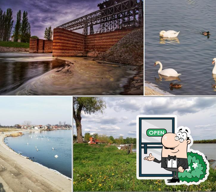 Splav "Šlajz"
