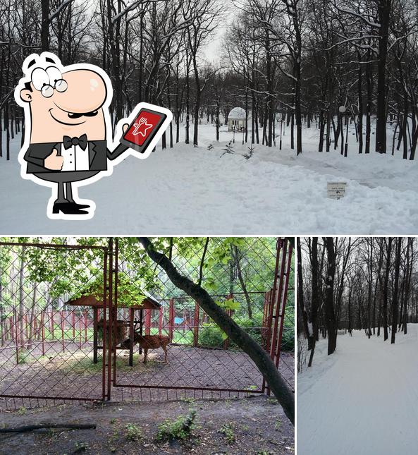"Бар СССР"