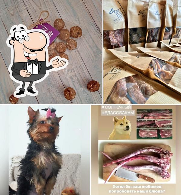 PETJOY
