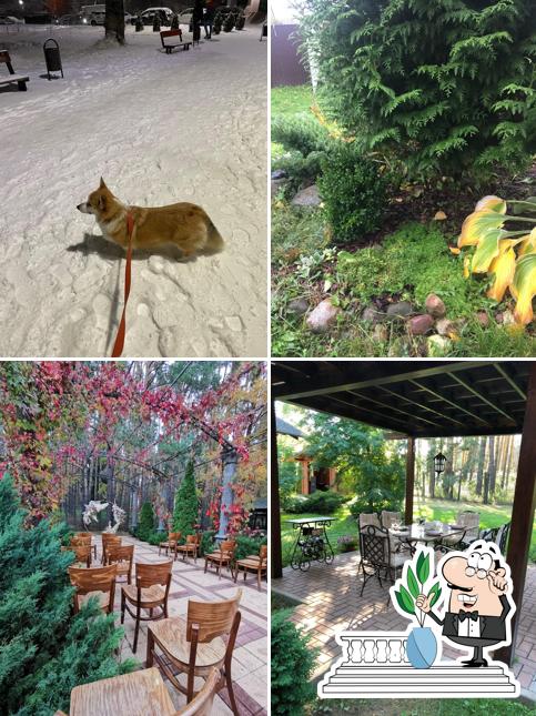 Посмотрите, как "Берендей" выглядит снаружи