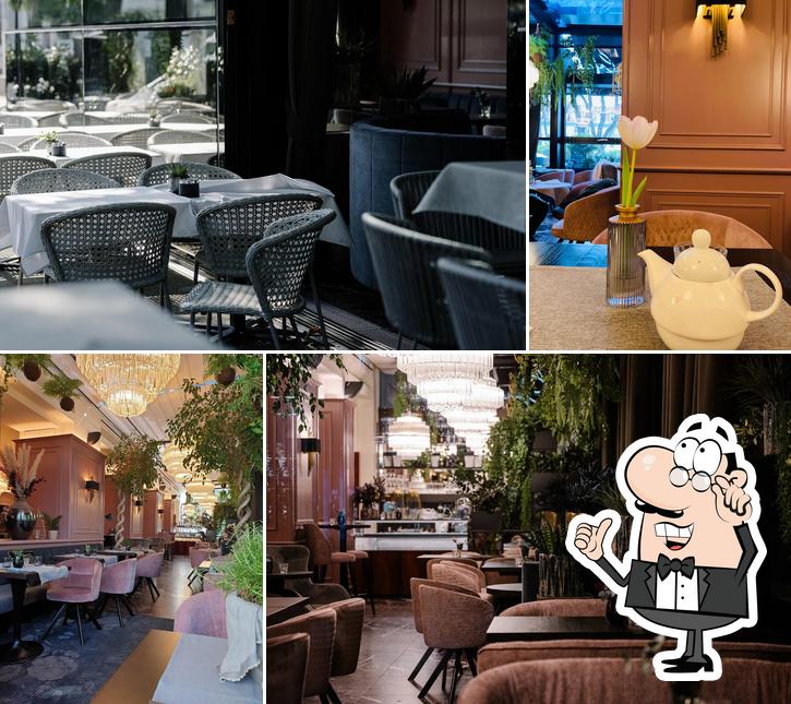 Operncafé - Cafe Brasserie Restaurant - Graz