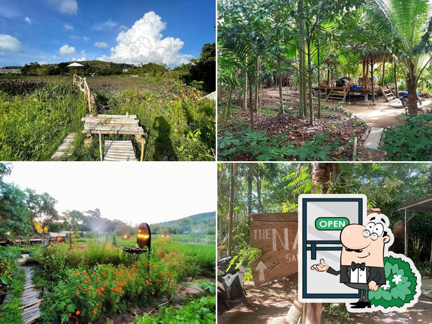 The Nature Samui
