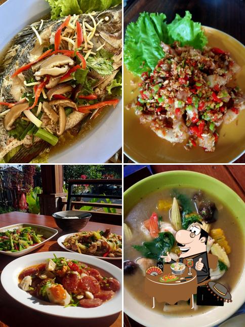 ใต้ต้นตอ