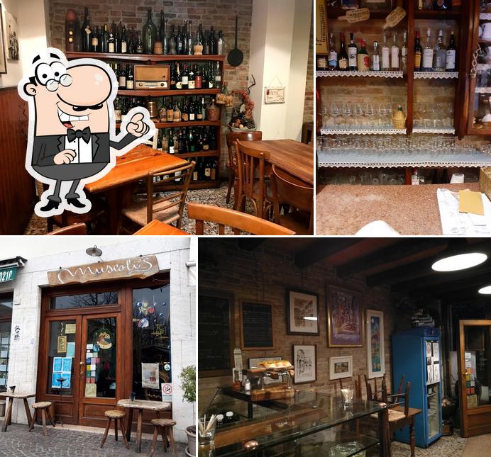 Muscoli's