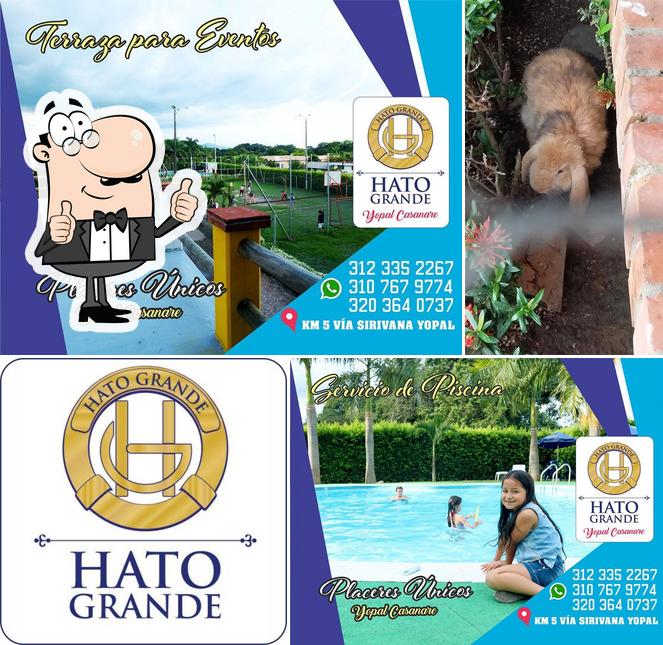 Hato Grande Yopal