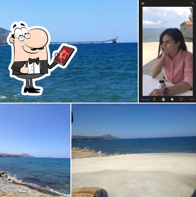 Akvaryum