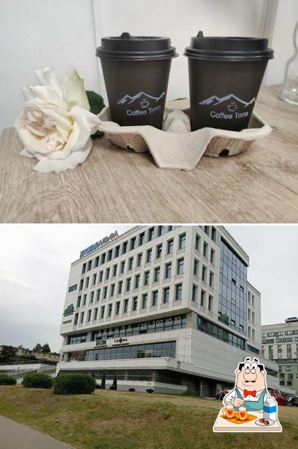 Coffee terra