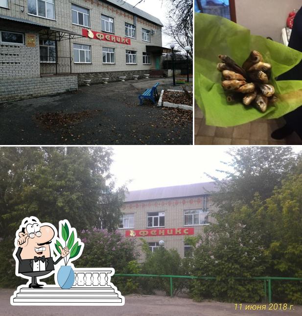 Феникс