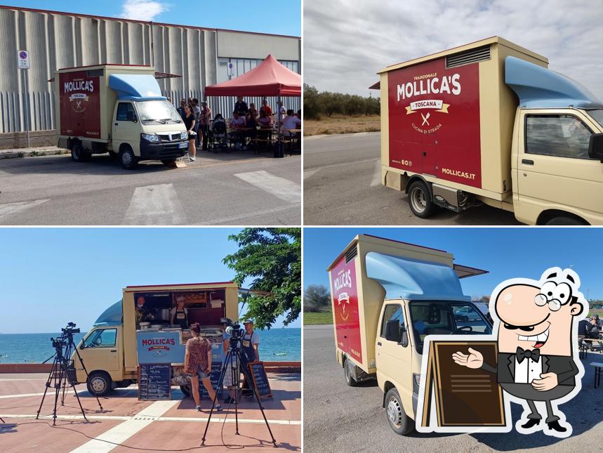 Mollica’s Street Food