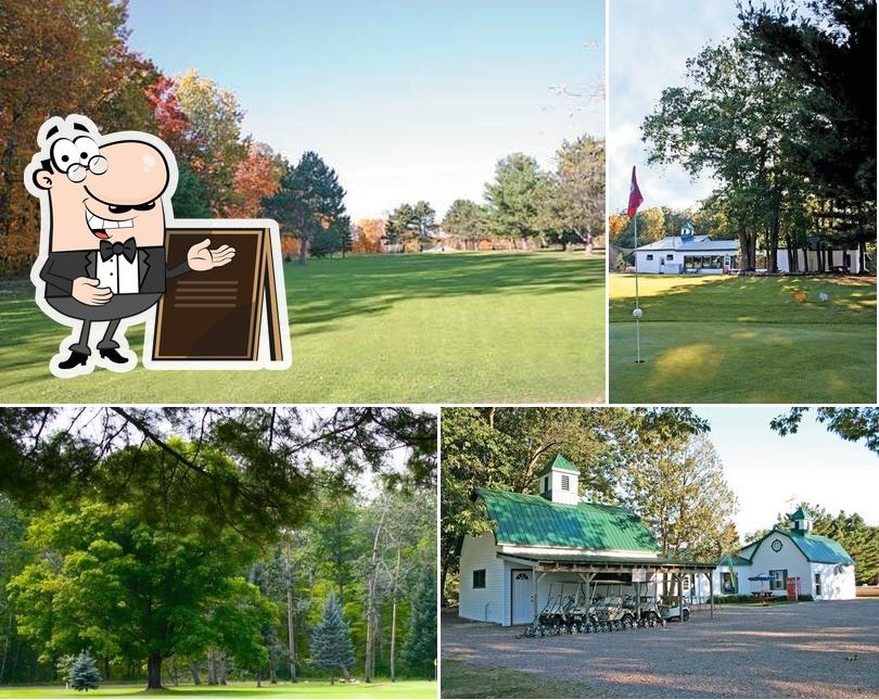 Lakeview Golf & Pizza