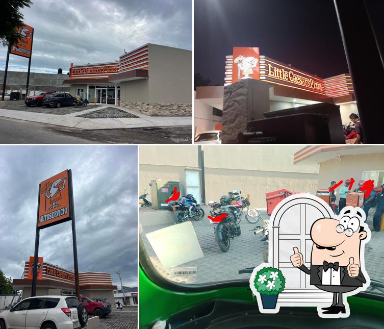 Little Caesars Pizza Insurgentes