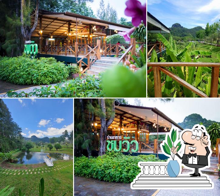 ร้านชมวิว คาเฟ่