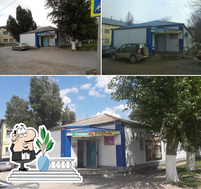 Гвоздика