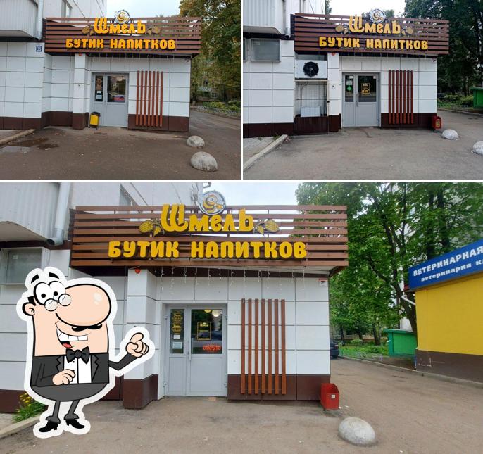 Шмель