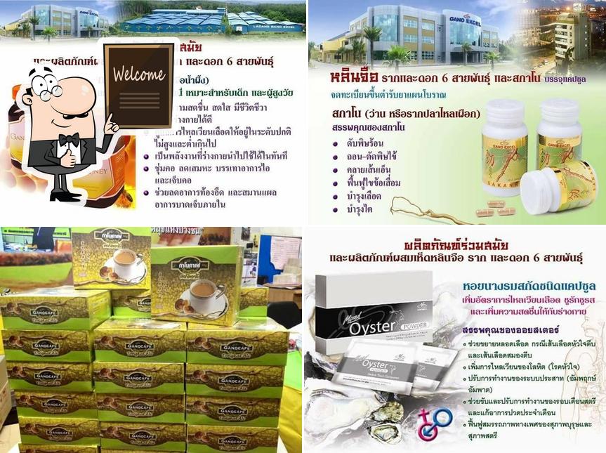 GANO - กาโน ผลิตภัณฑ์สกัดจากเห็ดหลินจือ