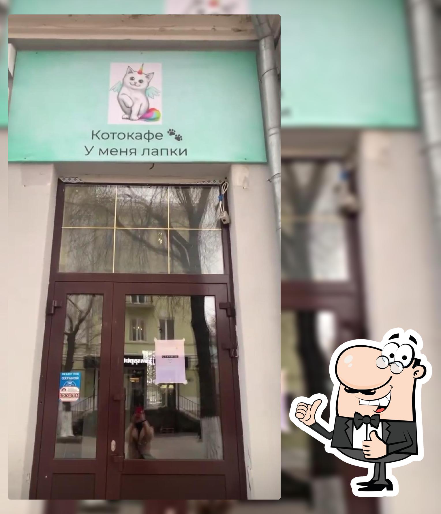 Котокафе «У меня лапки»