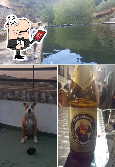 Bar La Encina