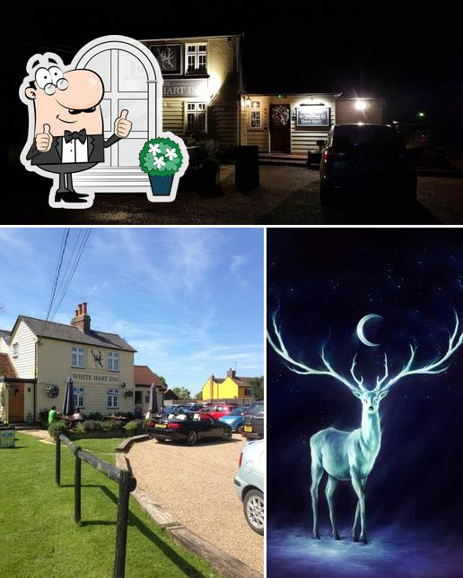 The White Hart Inn - Margaretting Tye