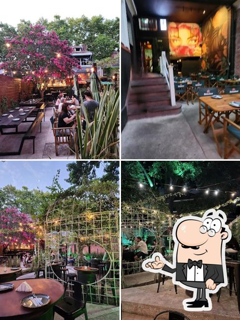 MOB Garden