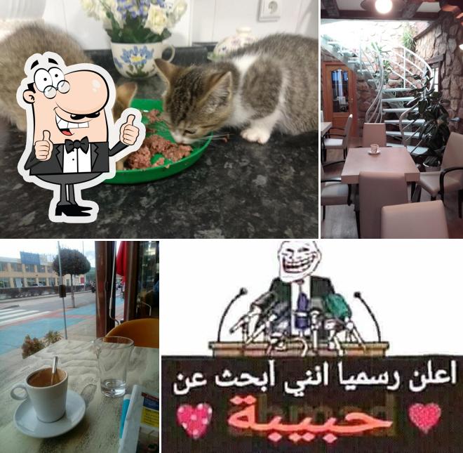 Landelino Coffee Shop