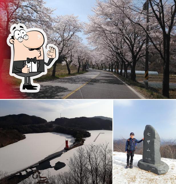 돌티미가든