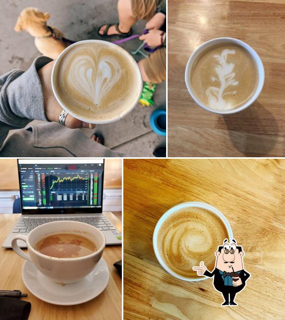 Wild Coffee Company