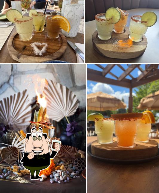 Hacienda Real Bolingbrook