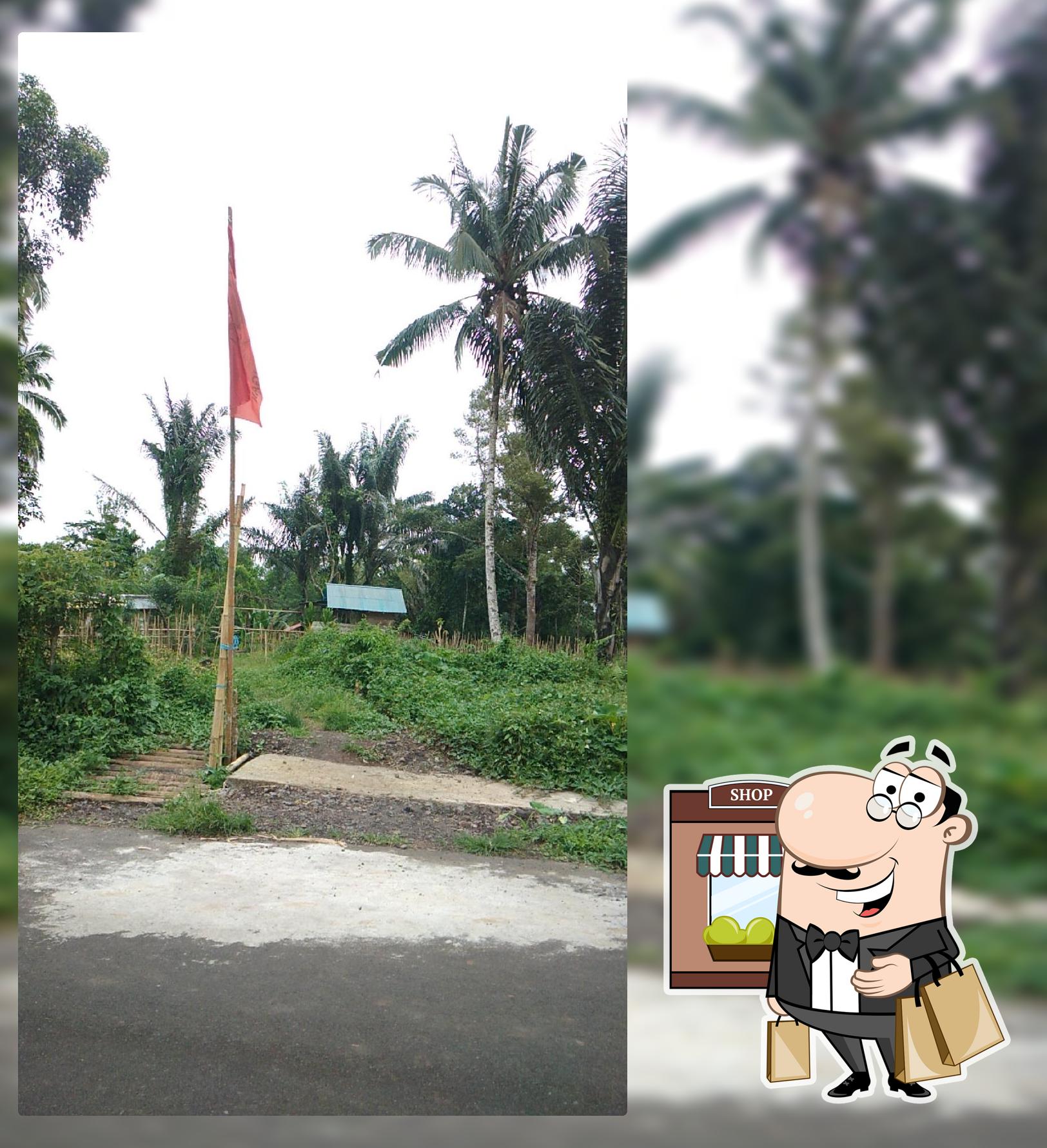 Kebun Cinta Sampul