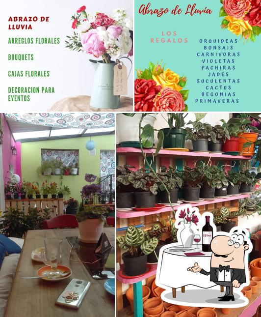 Abrazo de Lluvia Vivero Floristería Café