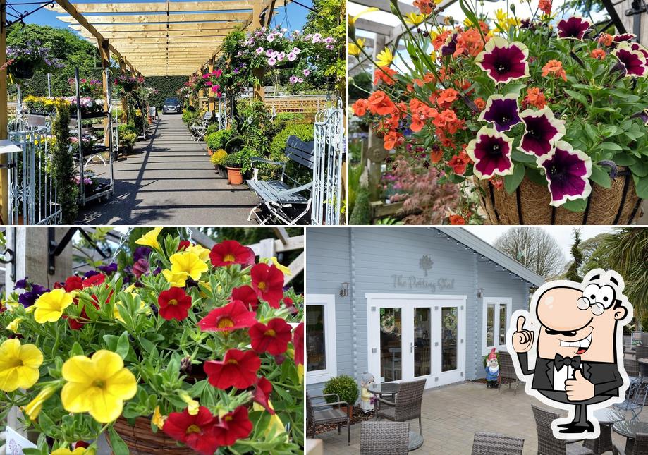 Singletons Nurseries
