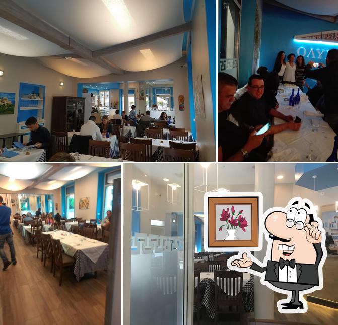 Greek Tavern Olimpia