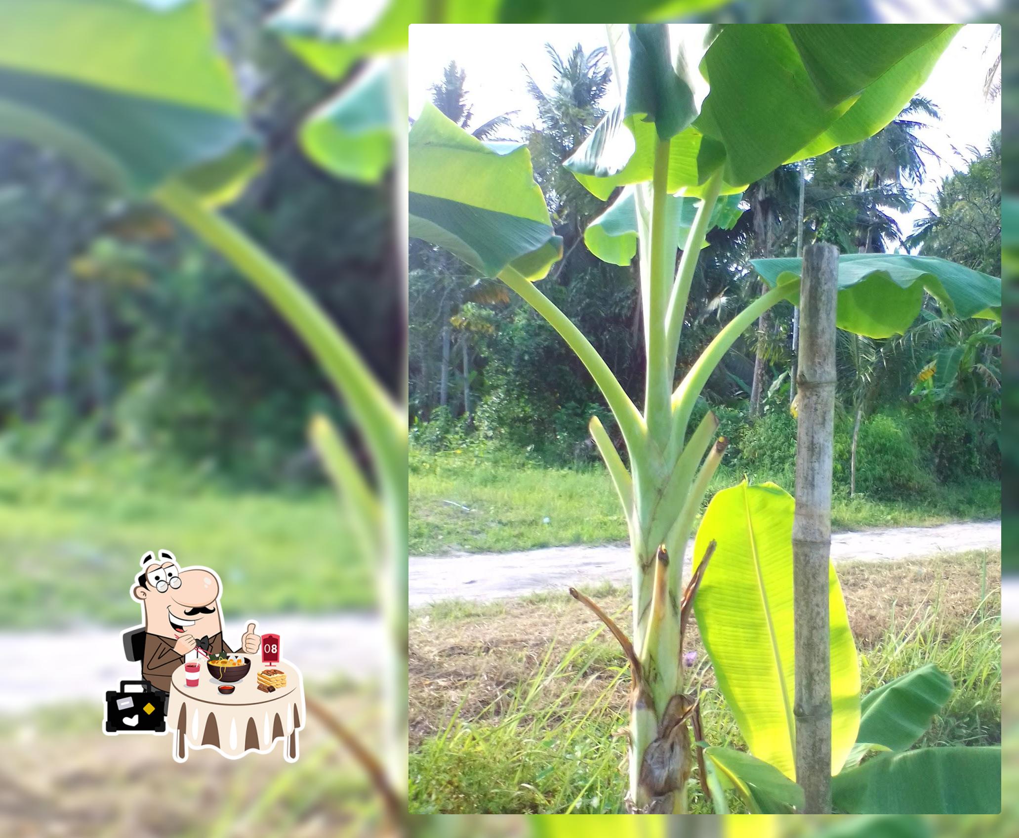 ครองลึกและเขาป้อม