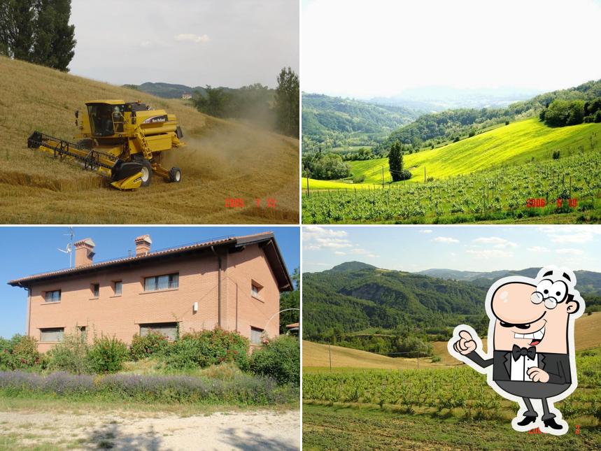 Relais Il Poggiolo Bio Agriturismo Olistico