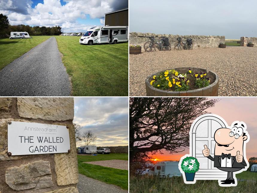 Annstead Farm Holiday Cottages, Camping & Caravan Site & The Lazy Cow Cake & Coffee Stop