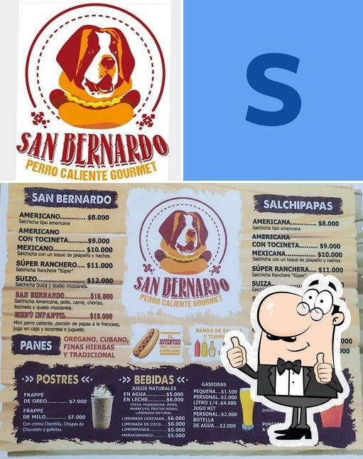 San Bernardo Perros Calientes Gourmet
