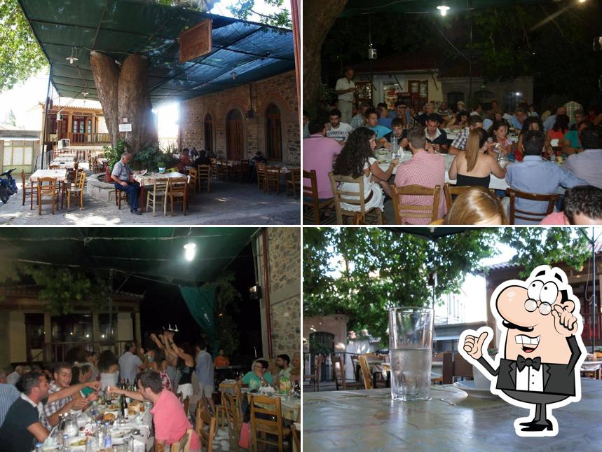 Tαβέρνα Πλάτανος