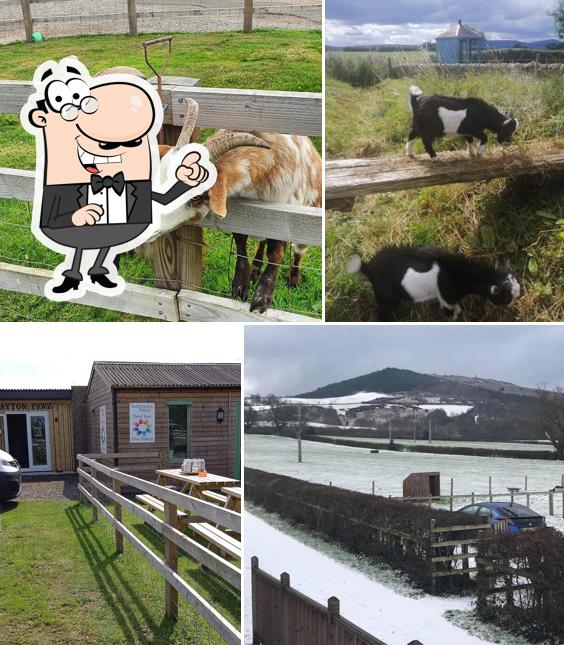 Fletchers Farm Coffee Shop