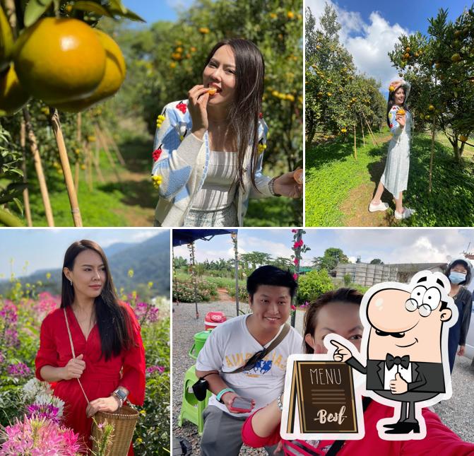 Fu Yan Orange Orchard
