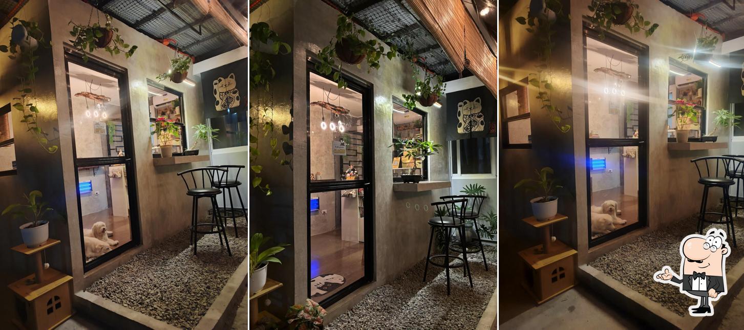 HungryCat Cafe