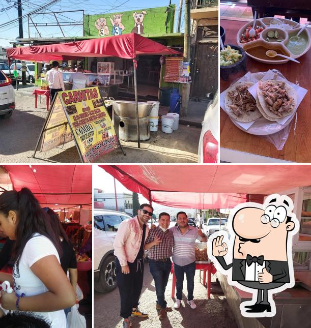 Carnitas 331
